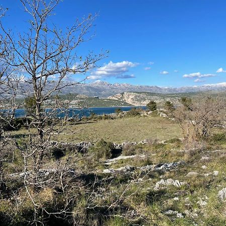 Villa Planita Dalmacija Novigrad  Eksteriør bilde
