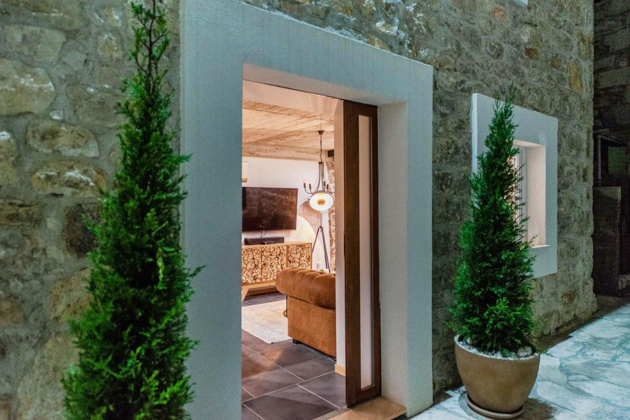 Villa Planita Dalmacija Novigrad  Eksteriør bilde