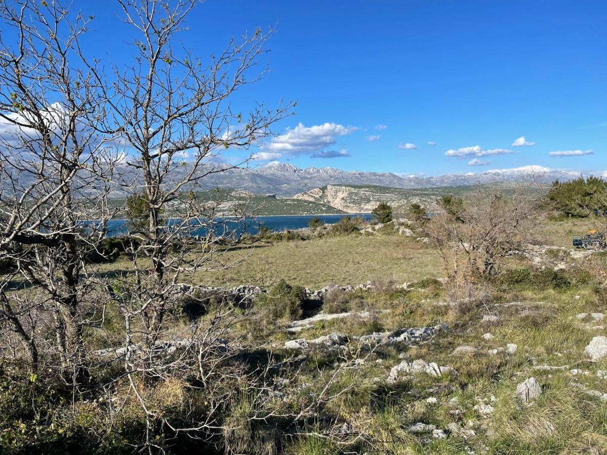 Villa Planita Dalmacija Novigrad  Eksteriør bilde