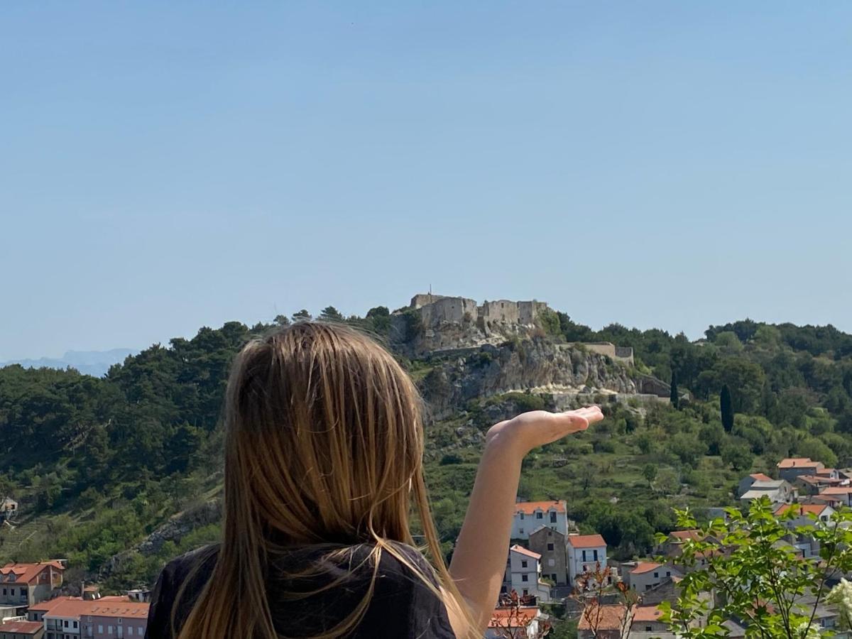 Villa Planita Dalmacija Novigrad  Eksteriør bilde